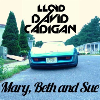 Lloyd David Cadigan