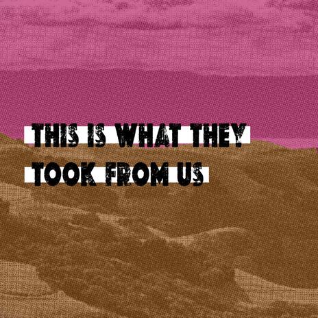 THIS IS WHAT THEY TOOK FROM US cover art