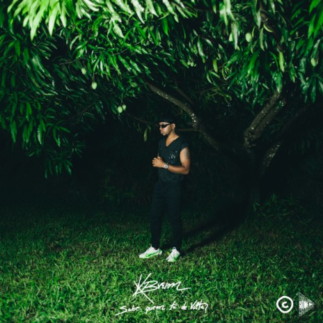 Desce e Sobe ft. Brasil Grime Show & Rennan Guerra cover art