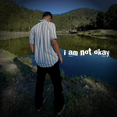 I am not O.k cover art
