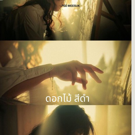 ดอกไม้สีดำ cover art