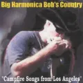 Big Harmonica Bob