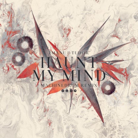 Haunt My Mind (Machinedrum Remix) ft. Tudor cover art