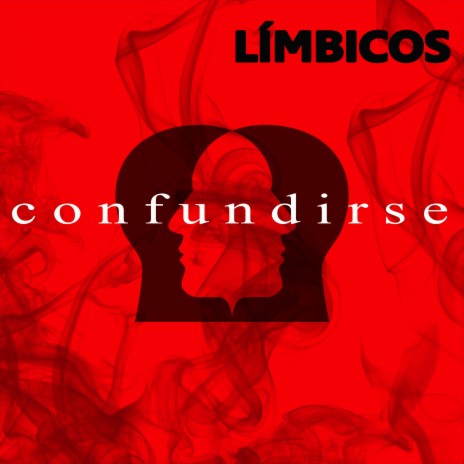 Confundirse cover art