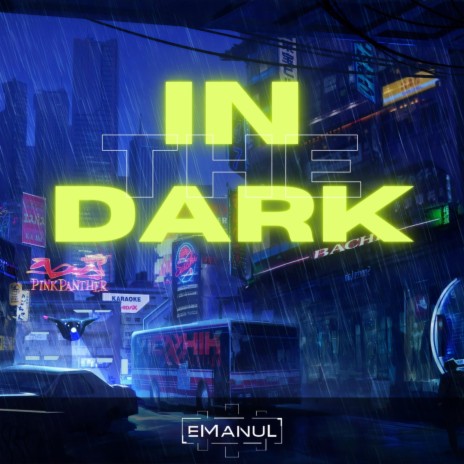 In The Dark cover art