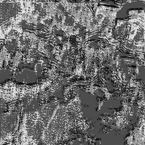DIM MONOCHROME cover art