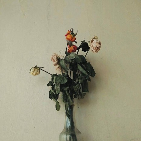 FLOWER CITY GROWN ft. FEVA TEISHA cover art