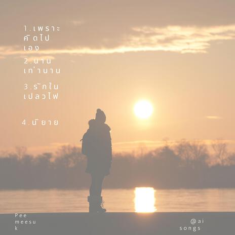 นิยาย cover art