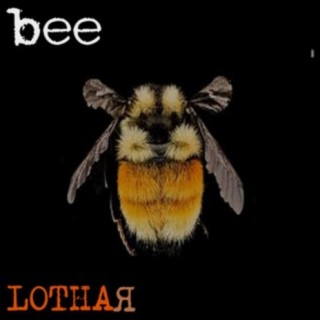 Bee!