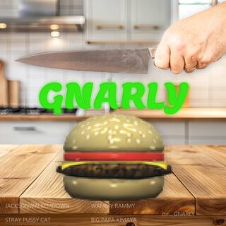GNARLY ft. Big Papa Kimaya, Wammy Rammy & Stray Pussy Cat cover art