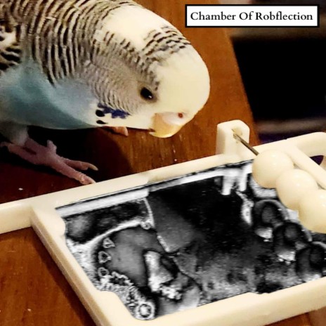 Welcome To The Chamber of Robflection! cover art