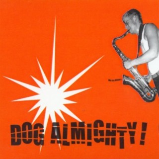 Dog Almighty!