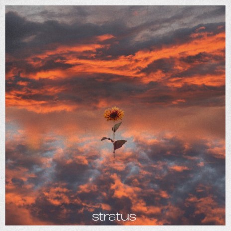 Sucesso