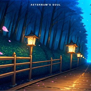 Aeternum's Soul