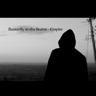 Butterfly in the Storm