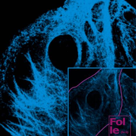 Folle (lv.1) ft. pollokraken cover art