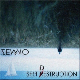 Self Destruction