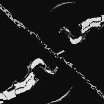 stranger cover art
