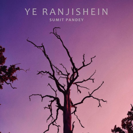 Ye Ranjishein cover art