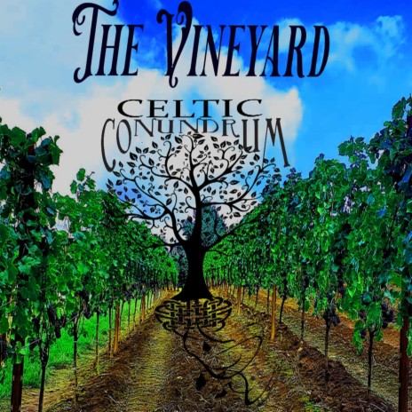 The Vineyard (Live) cover art