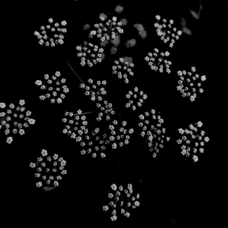 Fractal
