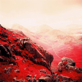 Terrestre