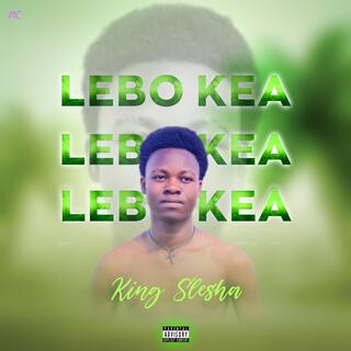 King Slesha