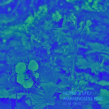HOPEFUL LIFE/MEANINGLESS END cover art