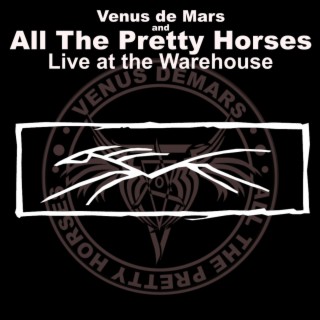 All the Pretty Horses Live at the Warehouse