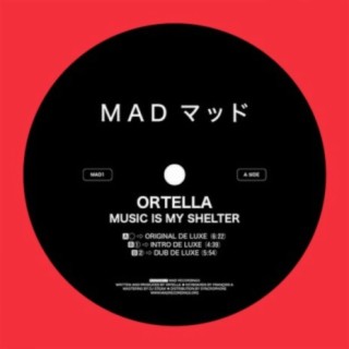 Music is my Shelter (Dub de Luxe) (Original Mix) cover art
