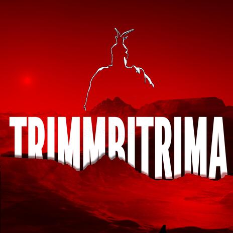 Trim Mbi Trima ft. KLE, ALBINA AZEMI & n’Trip me Patën cover art
