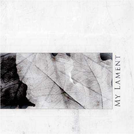 The Burden of Doubt cover art