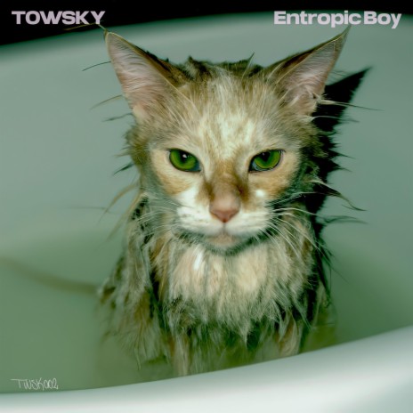 Tolling Reverie cover art