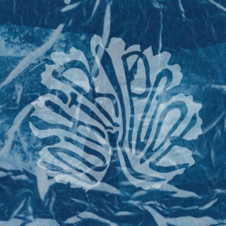 Whirlpool
