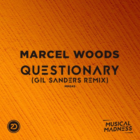 Questionary (Gil Sanders Extended Remix) cover art