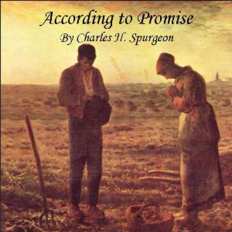 Persecution Consequent on the Promise cover art