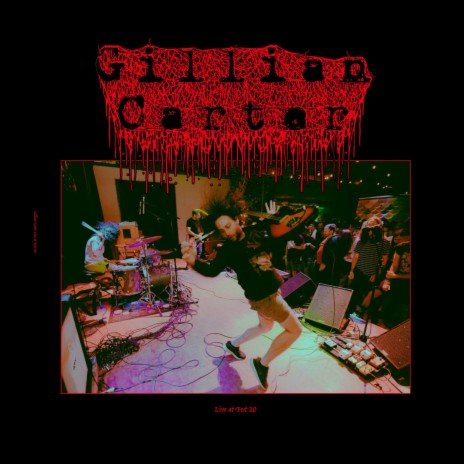 Terminal Brain (Live at Fest 20) (Live) cover art