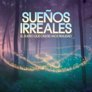 El sueño que casi se hace realidad