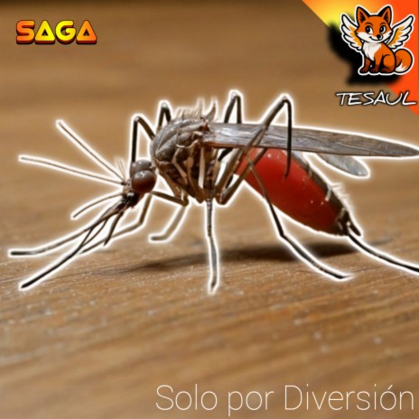 Solo por Diversión cover art
