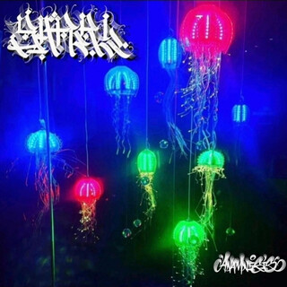 Anamnesis