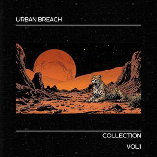 Urban Breach
