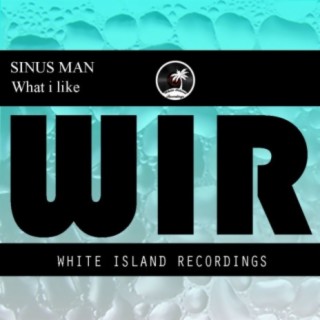What I Like (Original Mix) cover art
