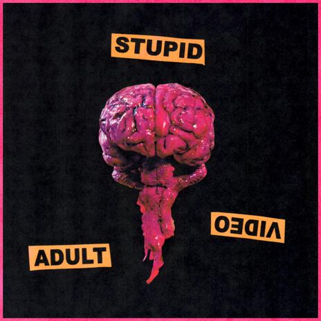 STUPID cover art