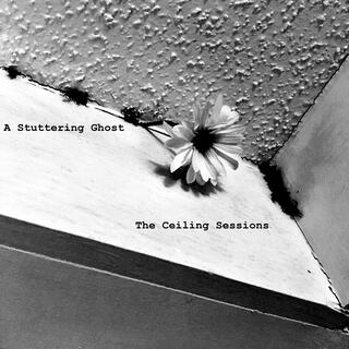 The Ceiling Sessions (Demos 2010-2016)