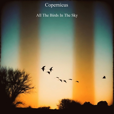 All The Birds In The Sky cover art