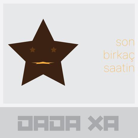 son birkaç saatin cover art