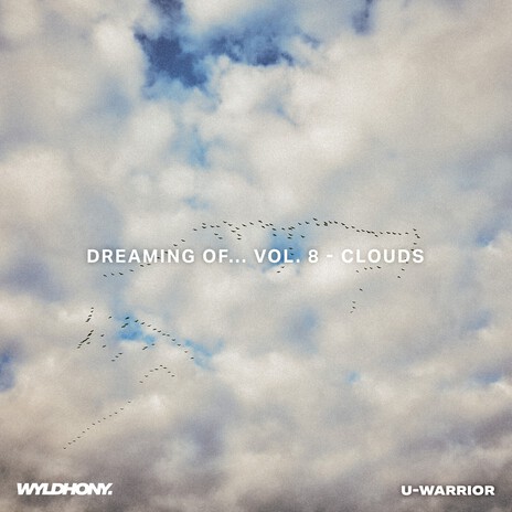 Cirrus ft. U-WARRIOR cover art