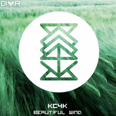Beautiful Wind cover art