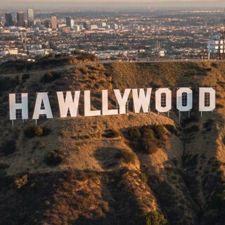Hawllywood Radio