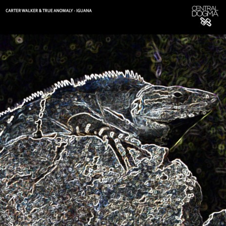 Iguana (Original Mix) ft. True Anomaly